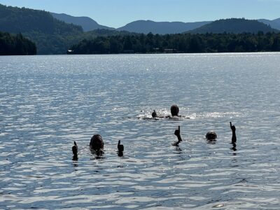 Mid September swim in Adirondacks